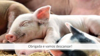 Obrigada e vamos descansar!
 