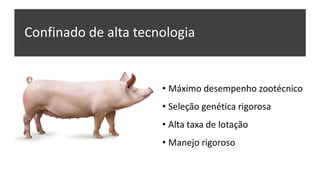 Confinado de alta tecnologia
• Máximo desempenho zootécnico
• Seleção genética rigorosa
• Alta taxa de lotação
• Manejo rigoroso
 