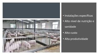 • Instalações específicas
• Alto nível de nutrição e
sanidade
• Alto custo
• Alta produtividade
 