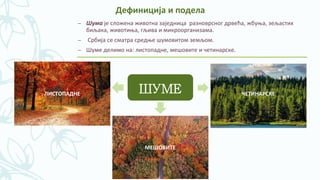 Шума | PPT