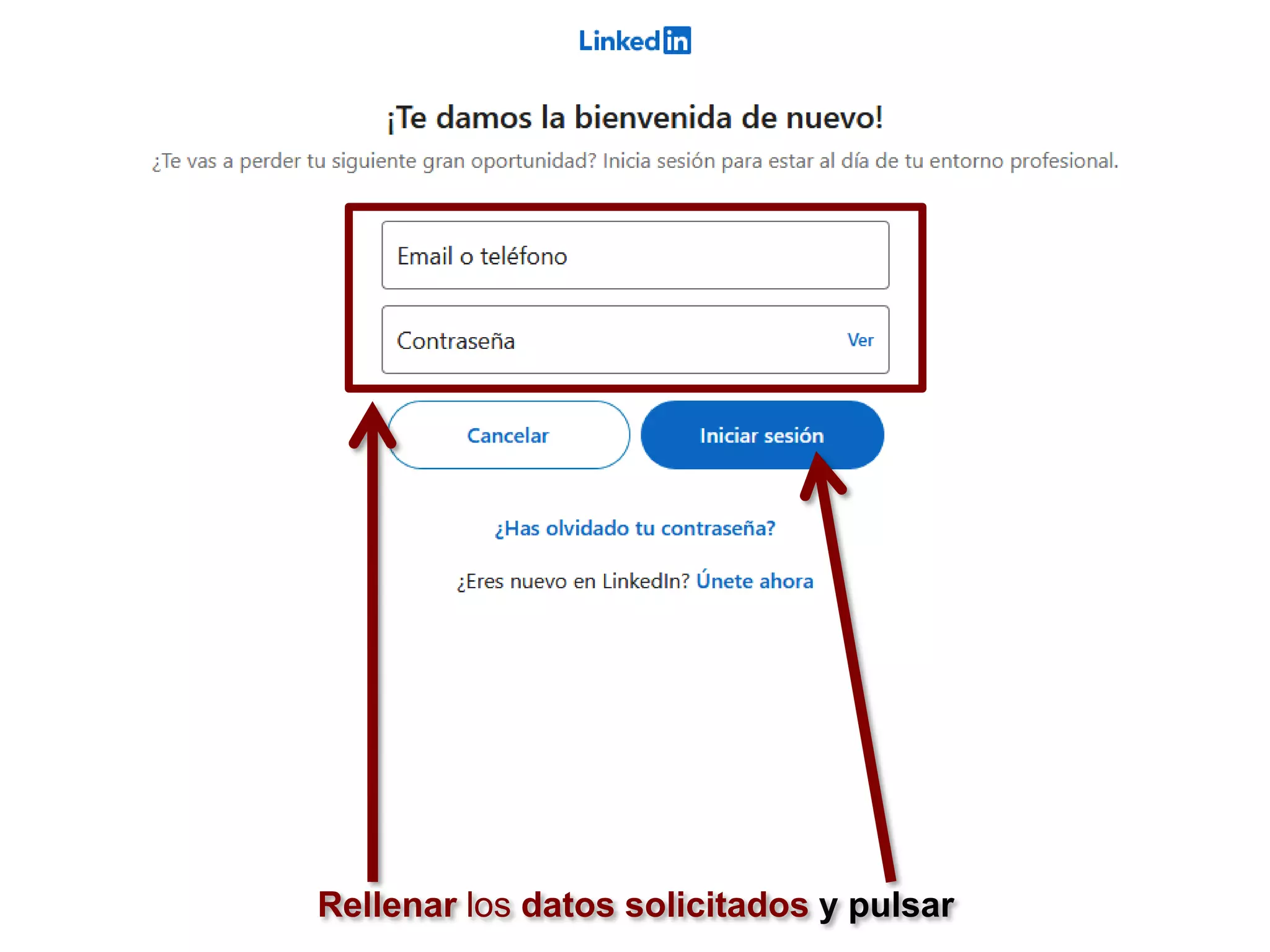 Rellenar los datos solicitados y pulsar