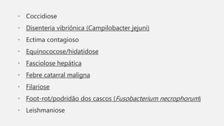 • Coccidiose
• Disenteria vibriônica (Campilobacter jejuni)
• Ectima contagioso
• Equinococose/hidatidose
• Fasciolose hepática
• Febre catarral maligna
• Filariose
• Foot-rot/podridão dos cascos (Fusobacterium necrophorum)
• Leishmaniose
 