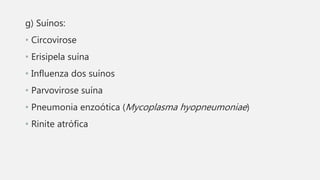 g) Suínos:
• Circovirose
• Erisipela suína
• Influenza dos suínos
• Parvovirose suína
• Pneumonia enzoótica (Mycoplasma hyopneumoniae)
• Rinite atrófica
 