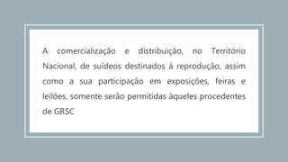 A comercialização e distribuição, no Território
Nacional, de suídeos destinados à reprodução, assim
como a sua participação em exposições, feiras e
leilões, somente serão permitidas àqueles procedentes
de GRSC
 