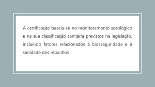 A certificação baseia-se no monitoramento sorológico
e na sua classificação sanitária previstos na legislação,
incluindo fatores relacionados à biosseguridade e à
sanidade dos rebanhos
 