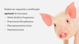 Poderá ser requerida a certificação
opcional de livre para:
 Rinite Atrófica Progressiva
 Pneumonia Micoplásmica
 Pleuropneumonia Suína
 Disenteria Suína
 