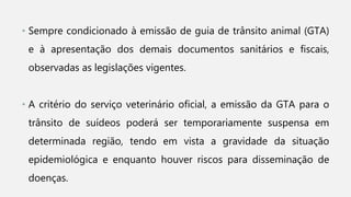 • Sempre condicionado à emissão de guia de trânsito animal (GTA)
e à apresentação dos demais documentos sanitários e fiscais,
observadas as legislações vigentes.
• A critério do serviço veterinário oficial, a emissão da GTA para o
trânsito de suídeos poderá ser temporariamente suspensa em
determinada região, tendo em vista a gravidade da situação
epidemiológica e enquanto houver riscos para disseminação de
doenças.
 