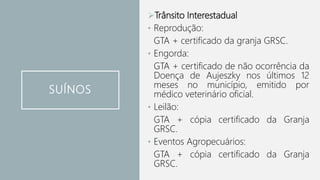 SUÍNOS
Trânsito Interestadual
• Reprodução:
GTA + certificado da granja GRSC.
• Engorda:
GTA + certificado de não ocorrência da
Doença de Aujeszky nos últimos 12
meses no município, emitido por
médico veterinário oficial.
• Leilão:
GTA + cópia certificado da Granja
GRSC.
• Eventos Agropecuários:
GTA + cópia certificado da Granja
GRSC.
 