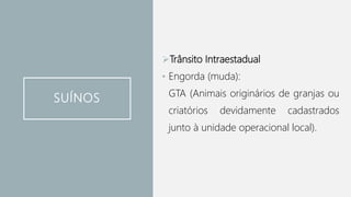 SUÍNOS
Trânsito Intraestadual
• Engorda (muda):
GTA (Animais originários de granjas ou
criatórios devidamente cadastrados
junto à unidade operacional local).
 