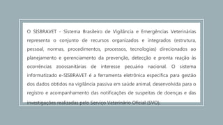 O SISBRAVET - Sistema Brasileiro de Vigilância e Emergências Veterinárias
representa o conjunto de recursos organizados e integrados (estrutura,
pessoal, normas, procedimentos, processos, tecnologias) direcionados ao
planejamento e gerenciamento da prevenção, detecção e pronta reação às
ocorrências zoossanitárias de interesse pecuário nacional. O sistema
informatizado e-SISBRAVET é a ferramenta eletrônica específica para gestão
dos dados obtidos na vigilância passiva em saúde animal, desenvolvida para o
registro e acompanhamento das notificações de suspeitas de doenças e das
investigações realizadas pelo Serviço Veterinário Oficial (SVO).
 