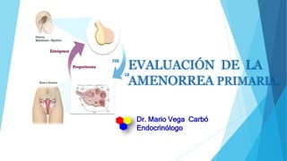 EVALUACIÓN DE LA
AMENORREA PRIMARIA.
Dr. Mario Vega Carbó
Endocrinólogo
 