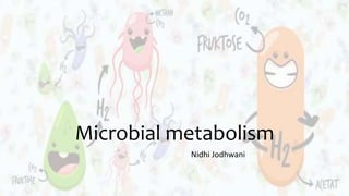 Microbial metabolism
Nidhi Jodhwani
 
