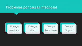 Problemas por causas infecciosas
Doenças
parasitárias
Doenças
virais
Doenças
bacterianas
Doenças
fúngicas
 