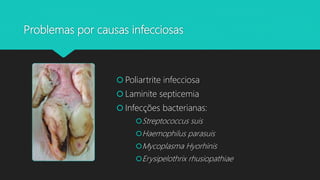 Problemas por causas infecciosas
 Poliartrite infecciosa
 Laminite septicemia
 Infecções bacterianas:
Streptococcus suis
Haemophilus parasuis
Mycoplasma Hyorhinis
Erysipelothrix rhusiopathiae
 