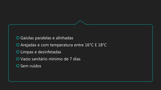  Gaiolas paralelas e alinhadas
 Arejadas e com temperatura entre 16°C E 18°C
 Limpas e desinfetadas
 Vazio sanitário mínimo de 7 dias
 Sem ruídos
 