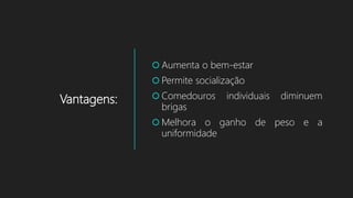 Vantagens:
 Aumenta o bem-estar
 Permite socialização
 Comedouros individuais diminuem
brigas
 Melhora o ganho de peso e a
uniformidade
 