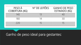 Ganho de peso ideal para gestantes:
PESO À
COBERTURA (KG)
N° DE LEITÕES GANHO DE PESO
ESTIMADO (KG)
140 13 40
180 14 30
220 15 15
 