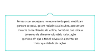 Fêmeas com sobrepeso no momento do parto mobilizam
gordura corporal, geram resistência à insulina, apresentam
maiores concentrações de leptina, hormônio que inibe o
consumo de alimento voluntário na lactação
(período em que a fêmea deverá se alimentar de
maior quantidade de ração).
 