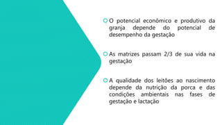  O potencial econômico e produtivo da
granja depende do potencial de
desempenho da gestação
 As matrizes passam 2/3 de sua vida na
gestação
 A qualidade dos leitões ao nascimento
depende da nutrição da porca e das
condições ambientais nas fases de
gestação e lactação
 