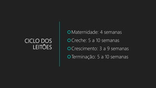CICLO DOS
LEITÕES
Maternidade: 4 semanas
Creche: 5 a 10 semanas
Crescimento: 3 a 9 semanas
Terminação: 5 a 10 semanas
 