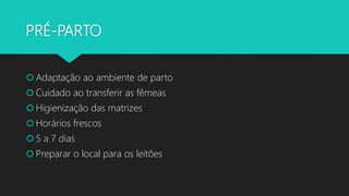 PRÉ-PARTO
 Adaptação ao ambiente de parto
 Cuidado ao transferir as fêmeas
 Higienização das matrizes
 Horários frescos
 5 a 7 dias
 Preparar o local para os leitões
 