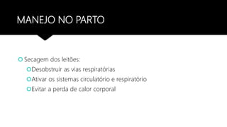 MANEJO NO PARTO
 Secagem dos leitões:
Desobstruir as vias respiratórias
Ativar os sistemas circulatório e respiratório
Evitar a perda de calor corporal
 