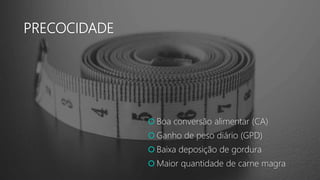 PRECOCIDADE
 Boa conversão alimentar (CA)
 Ganho de peso diário (GPD)
 Baixa deposição de gordura
 Maior quantidade de carne magra
 