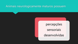 Animais neurologicamente maturos possuem
percepções
sensoriais
desenvolvidas
 