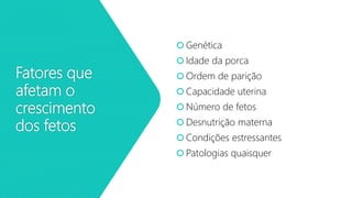 Fatores que
afetam o
crescimento
dos fetos
 Genética
 Idade da porca
 Ordem de parição
 Capacidade uterina
 Número de fetos
 Desnutrição materna
 Condições estressantes
 Patologias quaisquer
 