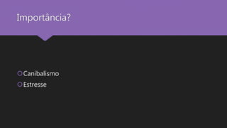 Importância?
Canibalismo
Estresse
 