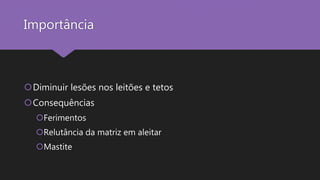 Importância
Diminuir lesões nos leitões e tetos
Consequências
Ferimentos
Relutância da matriz em aleitar
Mastite
 