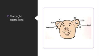 Marcação
australiana
 