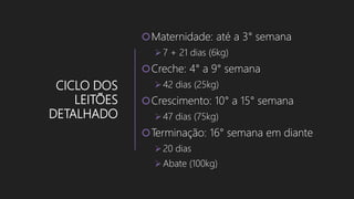 CICLO DOS
LEITÕES
DETALHADO
Maternidade: até a 3° semana
7 + 21 dias (6kg)
Creche: 4° a 9° semana
42 dias (25kg)
Crescimento: 10° a 15° semana
47 dias (75kg)
Terminação: 16° semana em diante
20 dias
Abate (100kg)
 