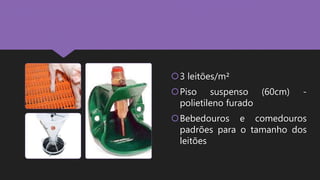 3 leitões/m²
Piso suspenso (60cm) -
polietileno furado
Bebedouros e comedouros
padrões para o tamanho dos
leitões
 