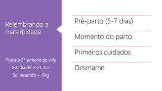 Relembrando a
maternidade
Pré-parto (5-7 dias)
Momento do parto
Primeiros cuidados
Desmame
Fica até 3° semana de vida
Estadia de +-21 dias
Sai pesando +-6kg
 