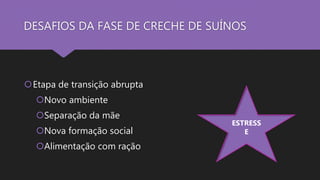 DESAFIOS DA FASE DE CRECHE DE SUÍNOS
Etapa de transição abrupta
Novo ambiente
Separação da mãe
Nova formação social
Alimentação com ração
ESTRESS
E
 