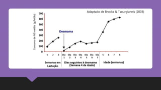 Adaptado de Brooks & Tsourgiannis (2003)
 