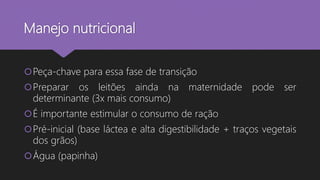 Manejo nutricional
Peça-chave para essa fase de transição
Preparar os leitões ainda na maternidade pode ser
determinante (3x mais consumo)
É importante estimular o consumo de ração
Pré-inicial (base láctea e alta digestibilidade + traços vegetais
dos grãos)
Água (papinha)
 