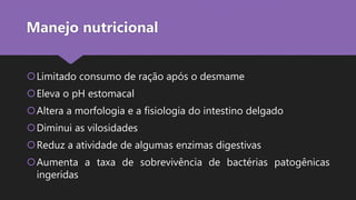 Limitado consumo de ração após o desmame
Eleva o pH estomacal
Altera a morfologia e a fisiologia do intestino delgado
Diminui as vilosidades
Reduz a atividade de algumas enzimas digestivas
Aumenta a taxa de sobrevivência de bactérias patogênicas
ingeridas
Manejo nutricional
 