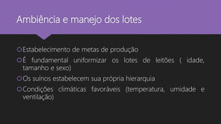 Ambiência e manejo dos lotes
Estabelecimento de metas de produção
É fundamental uniformizar os lotes de leitões ( idade,
tamanho e sexo)
Os suínos estabelecem sua própria hierarquia
Condições climáticas favoráveis (temperatura, umidade e
ventilação)
 