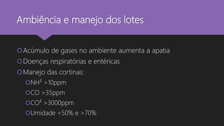 Ambiência e manejo dos lotes
Acúmulo de gases no ambiente aumenta a apatia
Doenças respiratórias e entéricas
Manejo das cortinas:
NH³ >10ppm
CO >35ppm
CO² >3000ppm
Umidade <50% e >70%
 