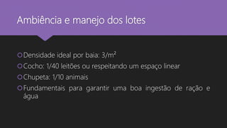 Ambiência e manejo dos lotes
Densidade ideal por baia: 3/m²
Cocho: 1/40 leitões ou respeitando um espaço linear
Chupeta: 1/10 animais
Fundamentais para garantir uma boa ingestão de ração e
água
 