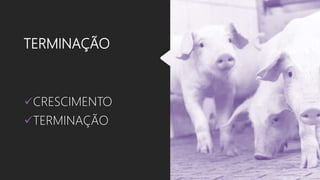 TERMINAÇÃO
CRESCIMENTO
TERMINAÇÃO
 