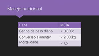 Manejo nutricional
ITEM META
Ganho de peso diário > 0,850g
Conversão alimentar < 2,500kg
Mortalidade < 1,5
 