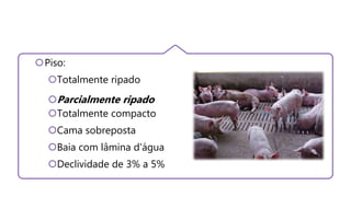 Piso:
Totalmente ripado
Parcialmente ripado
Totalmente compacto
Cama sobreposta
Baia com lâmina d'água
Declividade de 3% a 5%
 