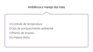 Ambiência e manejo dos lotes
Controle de temperatura
Uso de enriquecimento ambiental
Plantio de árvores
Limpeza diária
 