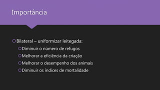 Importância
Bilateral – uniformizar leitegada:
Diminuir o número de refugos
Melhorar a eficiência da criação
Melhorar o desempenho dos animais
Diminuir os índices de mortalidade
 