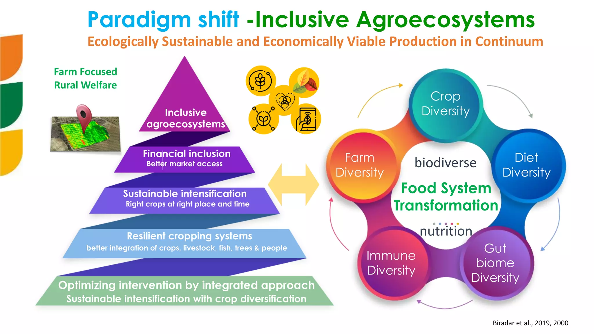 Food System
Transformation
biodiverse
nutrition
Crop
Diversity
Diet
Diversity
Gut
biome
Diversity
Immune
Diversity
Farm
Diversity
Biradar et al., 2019, 2000
Inclusive
agroecosystems
Sustainable intensification
Financial inclusion
Optimizing intervention by integrated approach
Sustainable intensification with crop diversification
Better market access
Right crops at right place and time
Resilient cropping systems
better integration of crops, livestock, fish, trees & people
Paradigm shift -Inclusive Agroecosystems
Farm Focused
Rural Welfare
Ecologically Sustainable and Economically Viable Production in Continuum