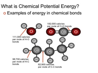 What is Chemical Potential Energy?
o Examples of energy in chemical bonds
 