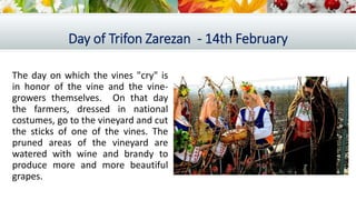 Day of Trifon Zarezan - 14th February
The day on which the vines "cry" is
in honor of the vine and the vine-
growers themselves. On that day
the farmers, dressed in national
costumes, go to the vineyard and cut
the sticks of one of the vines. The
pruned areas of the vineyard are
watered with wine and brandy to
produce more and more beautiful
grapes.
 